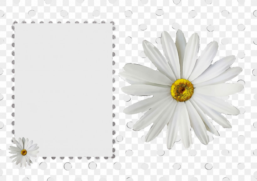 Floral Design, PNG, 1920x1358px, Watercolor, Chrysanthemum, Floral Design, Oxeye Daisy, Paint Download Free