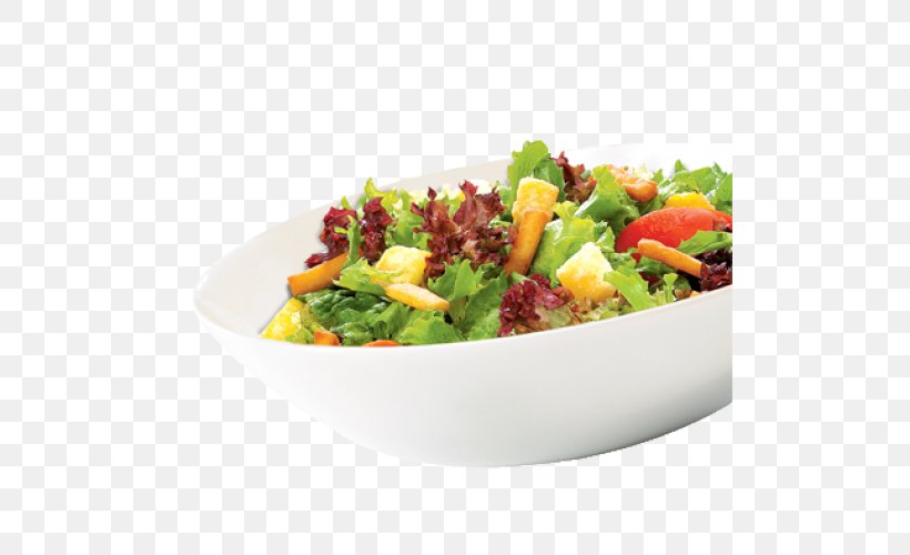 Macaroni Salad KFC Coleslaw Fast Food, PNG, 500x500px, Salad, Chicken As Food, Coleslaw, Cuisine, Dish Download Free