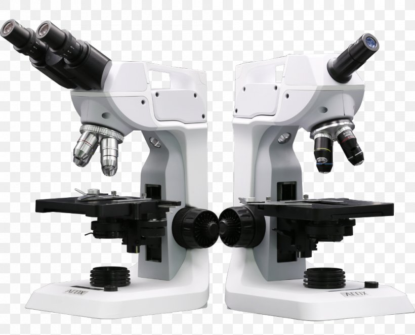 Microscope Micrograph Video Computer, PNG, 1000x808px, Microscope, Business, Computer, Digital Data, Digital Image Download Free