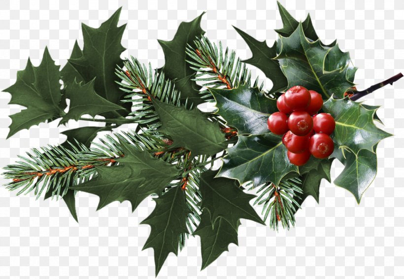 Mistletoe Christmas Clip Art, PNG, 1280x884px, Mistletoe, Aquifoliaceae, Aquifoliales, Berry, Branch Download Free