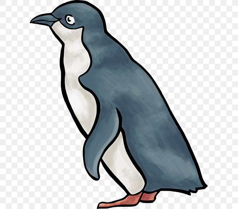 Penguin Clip Art Vector Graphics Royalty-free Image, PNG, 613x720px, Penguin, Animal Figure, Artwork, Beak, Bird Download Free
