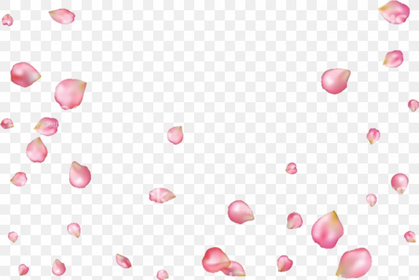 Petal Rose, PNG, 989x661px, Petal, Art, Beauty, Flower, Heart Download Free