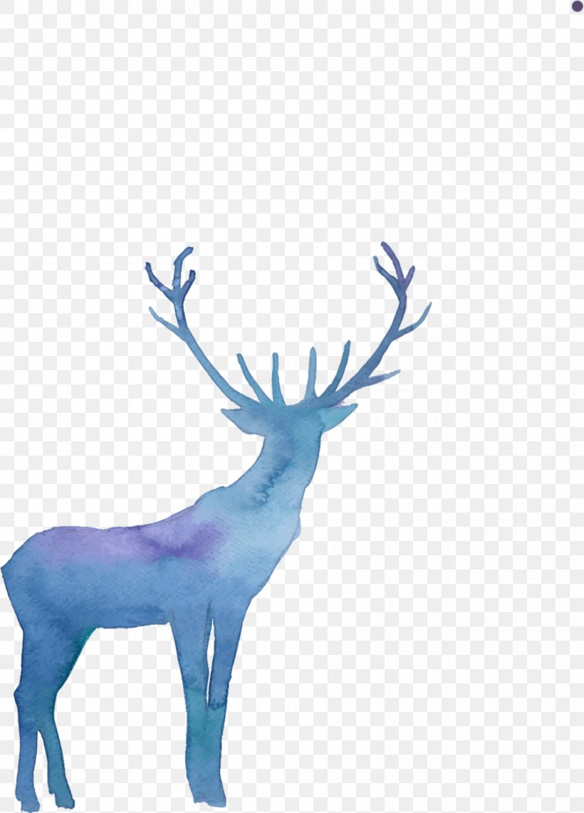Reindeer Elk Vector Graphics Clip Art, PNG, 900x1254px, Deer, Antler, Baby Deer, Drawing, Elk Download Free