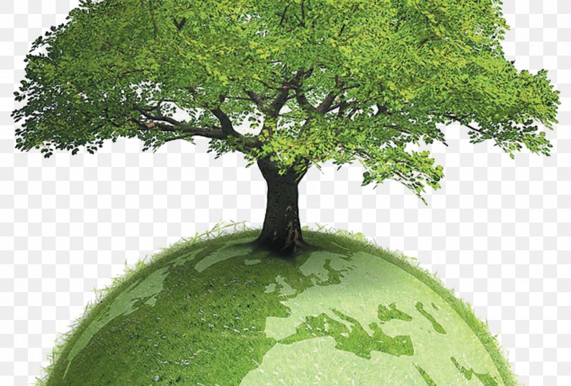 Environmentally Friendly Sustainability Sustainable Development Paper Environmentalism, PNG, 1041x705px, Environmentally Friendly, Branch, Business, Carbon Footprint, Environmental Policy Download Free