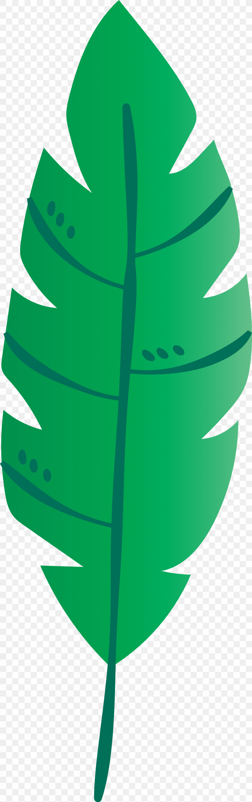 Leaf Green M-tree Line Lawn, PNG, 1321x4192px, Leaf, Biology, Green, Lawn, Line Download Free