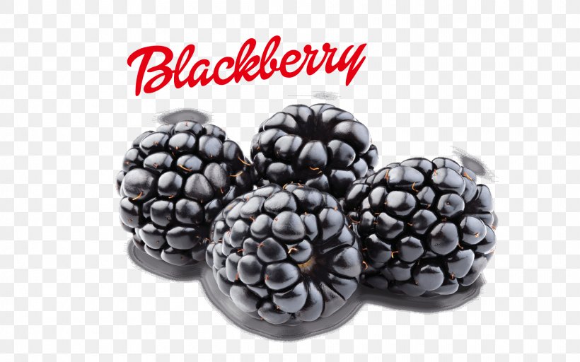 BlackBerry Z10 Fruit Berries BlackBerry Limited, PNG, 1920x1200px, Blackberry Z10, Bead, Berries, Berry, Bilberry Download Free