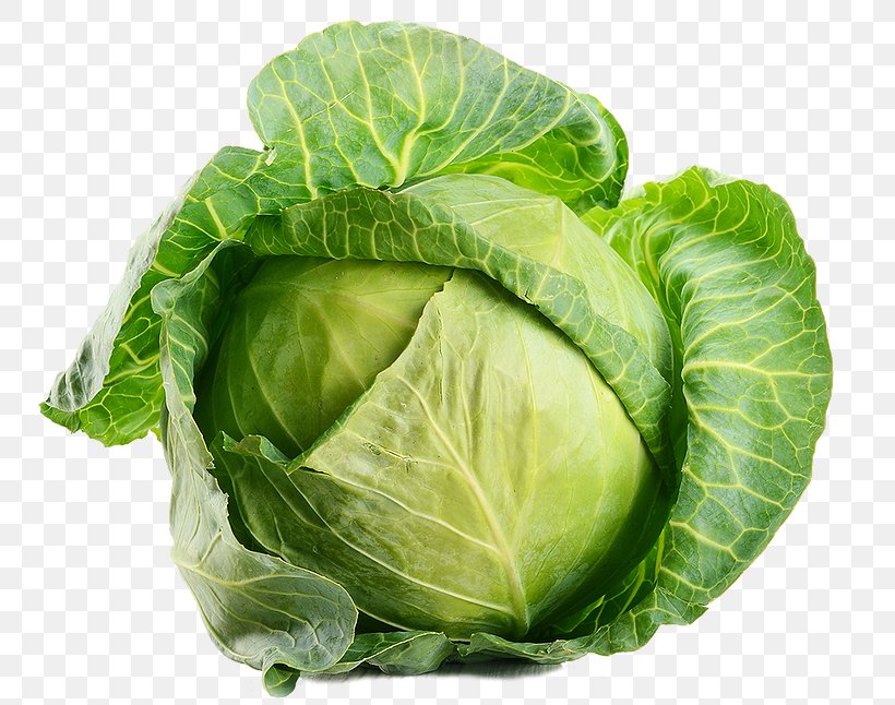 Cabbage Leaf Vegetable Organic Food, PNG, 750x646px, Cabbage, Brussels Sprout, Calorie, Cauliflower, Chard Download Free