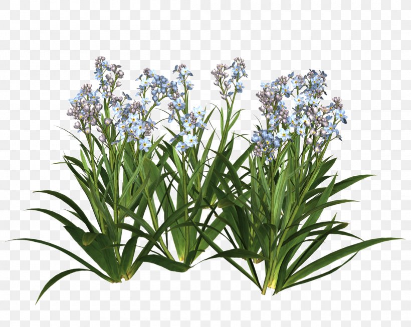 Flower Garden Plant Shrub, PNG, 1100x876px, 3d Computer Graphics, Flower, Artificial Flower, Flower Garden, Flowering Plant Download Free