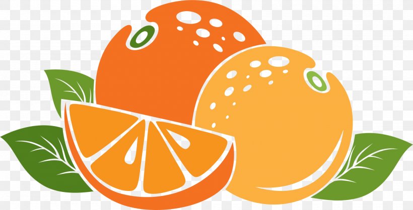 Mandarin Orange App Store Auglis, PNG, 2000x1021px, Mandarin Orange, App Store, Auglis, Citrus, Cuisine Download Free