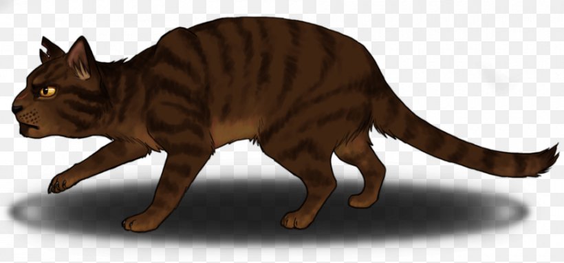 Whiskers Cat Tiger Tawnypelt Art, PNG, 900x420px, Whiskers, Animal, Animal Figure, Art, Artist Download Free
