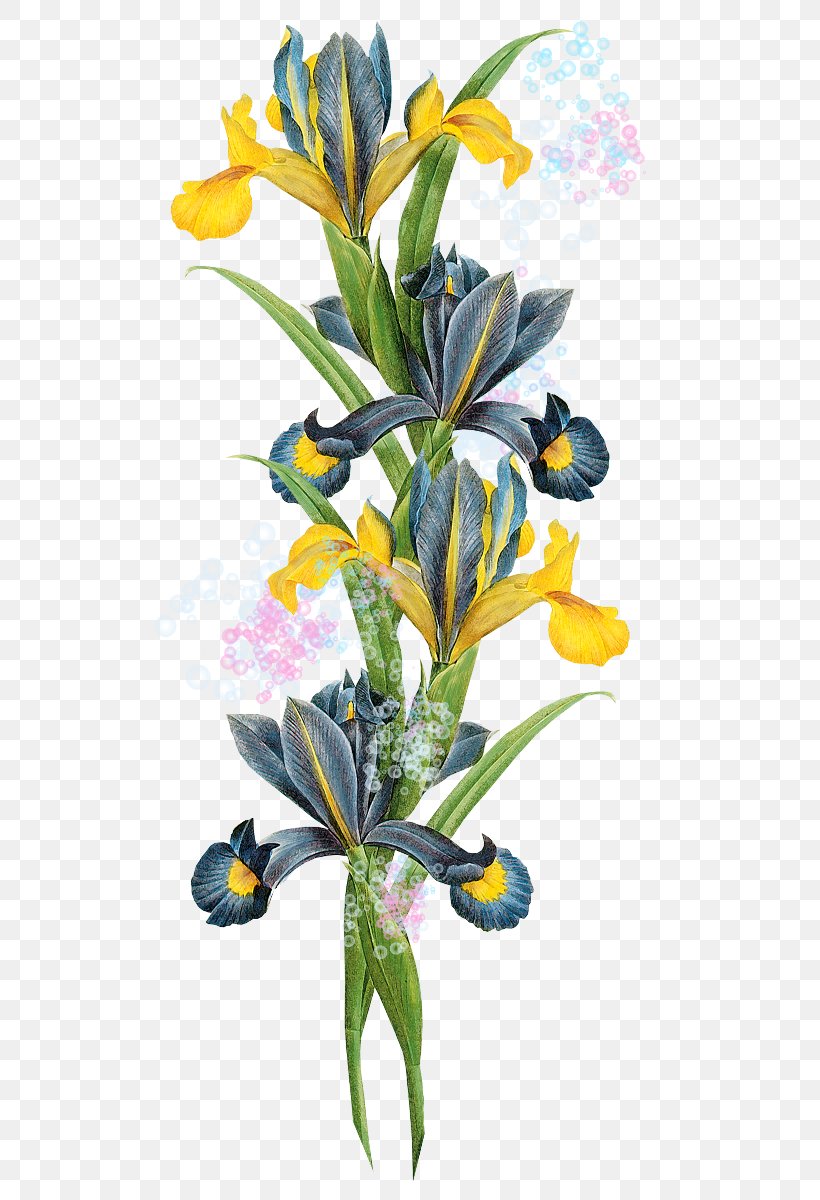 Flower Clip Art, PNG, 511x1200px, Flower, Branch, Color, Flora, Floral Design Download Free