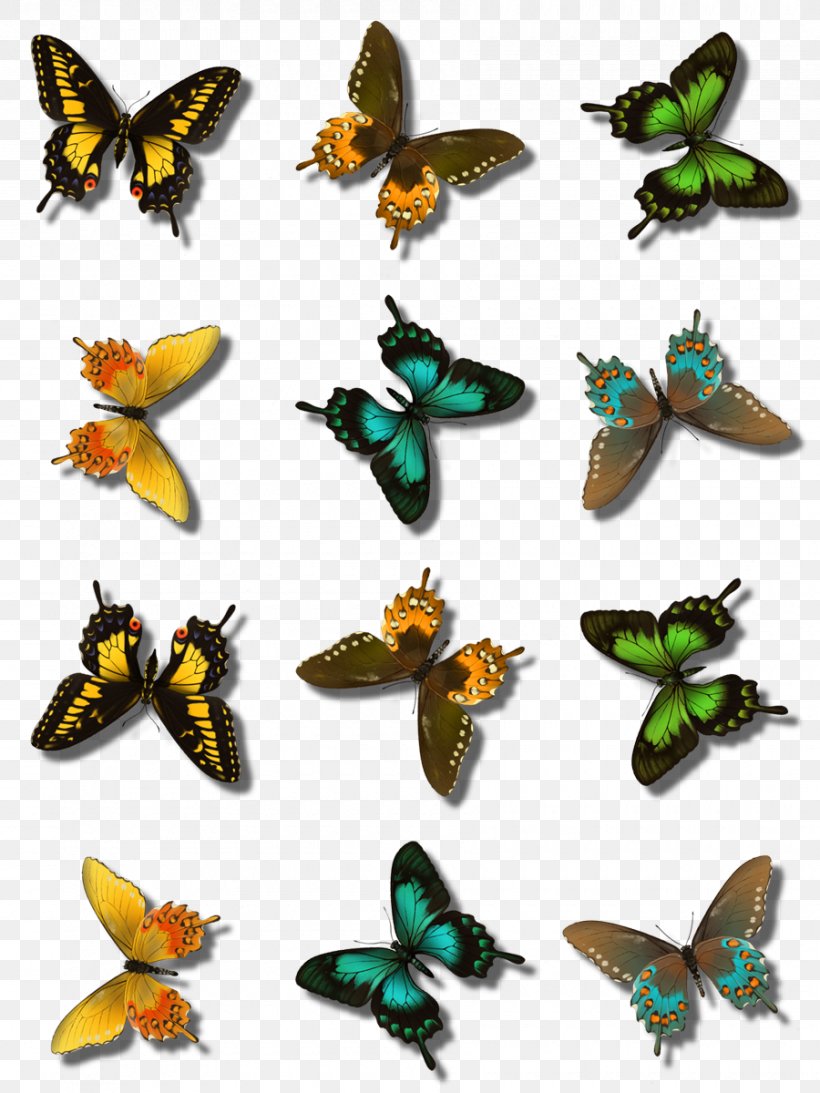 Monarch Butterfly PaintShop Pro GIMP, PNG, 900x1200px, Monarch Butterfly, Arthropod, Brush, Brush Footed Butterfly, Brushfooted Butterflies Download Free
