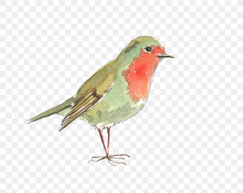 Bird Computer File, PNG, 977x778px, Bird, Beak, Emberizidae, European Robin, Fauna Download Free