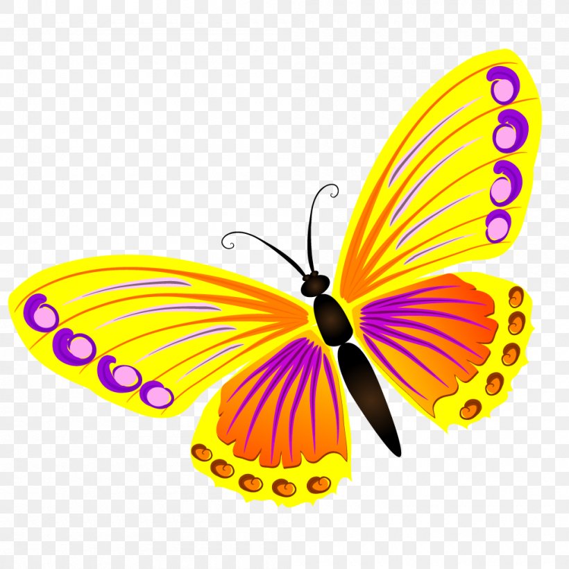 Butterfly Insect, PNG, 1000x1000px, Butterfly, Arthropod, Brush Footed Butterfly, Flower, Insect Download Free