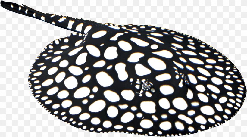 Myliobatoidei Diamond Stingray Xingu River Ray Lasagne Cuisine, PNG, 1100x611px, Myliobatoidei, Black And White, Black Diamond Equipment, Blue, Cuisine Download Free