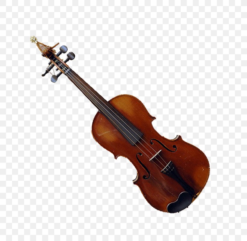 Violin Double Bass Cello String Instrument Musical Instrument, PNG, 800x800px, Violin, Acoustic Electric Guitar, Bass Guitar, Bass Violin, Bowed String Instrument Download Free