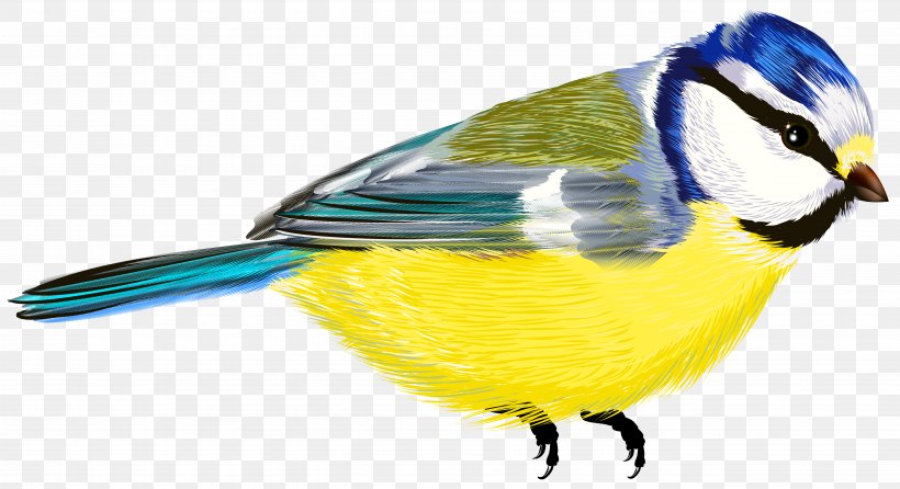 Bird Clip Art, PNG, 5104x2780px, Bird, Beak, Bird Flight, Chickadee, Emperor Penguin Download Free