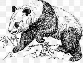 Gorilla - Giant Panda Bear Red Panda Clip Art PNG