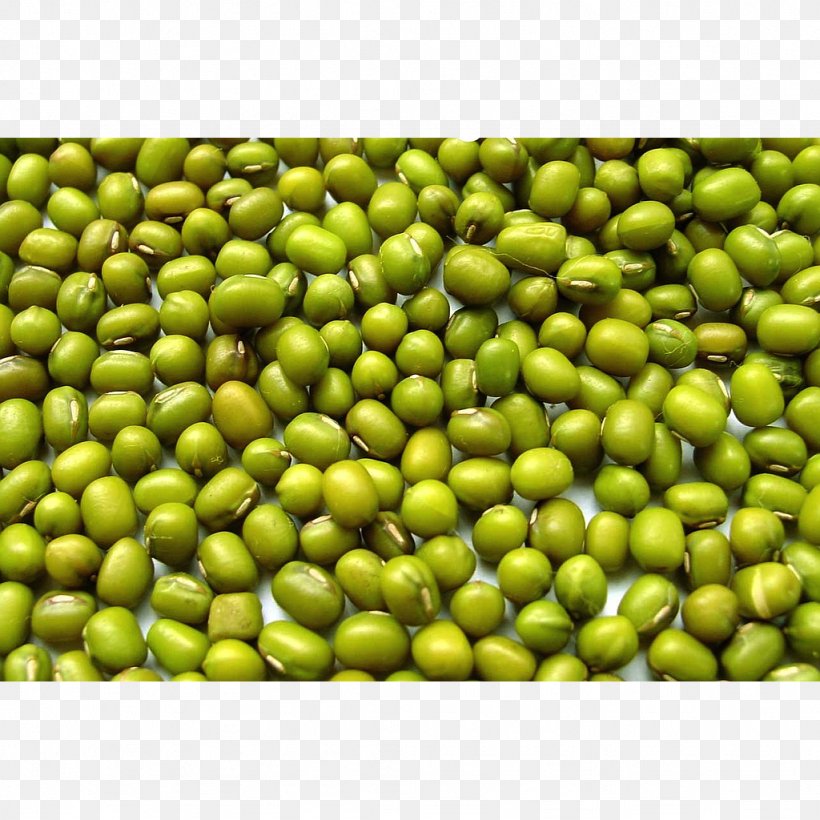 Dal Mung Bean Legume Black Gram, PNG, 1024x1024px, Dal, Agriculture, Bean, Black Gram, Blackeyed Pea Download Free