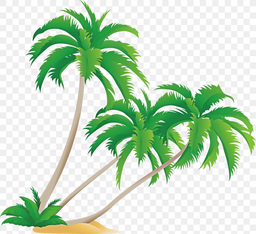 Palm Tree, PNG, 2269x2078px, Palm Tree, Arecales, Houseplant, Leaf, Plant Download Free