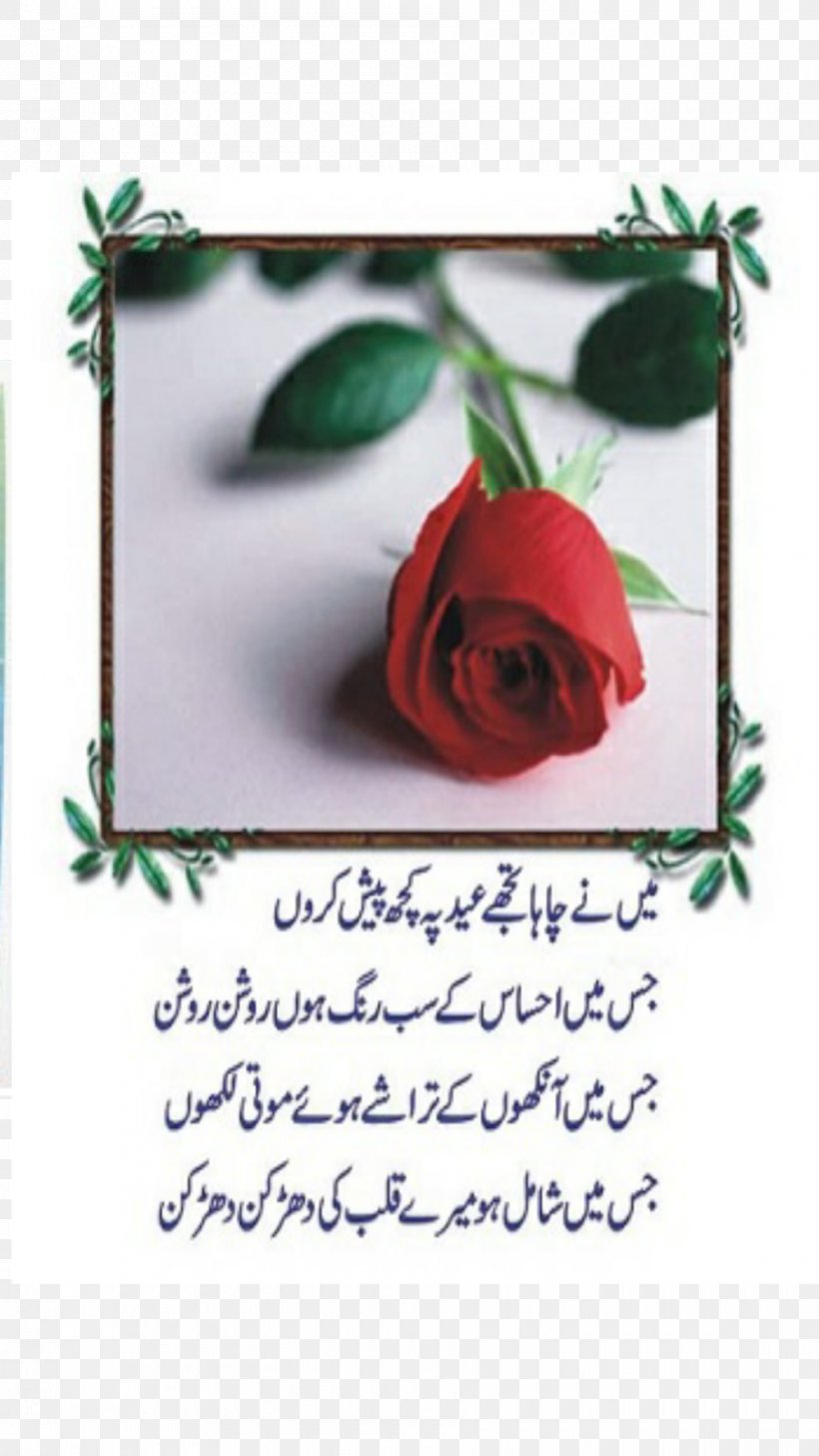 Urdu Poetry Eid Al-Fitr Eid Al-Adha, PNG, 900x1600px, Urdu Poetry, Eid Aladha, Eid Alfitr, Flora, Floral Design Download Free