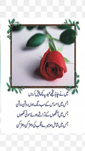 Urdu Poetry Islam Achi Png 531x800px Urdu Poetry Achi