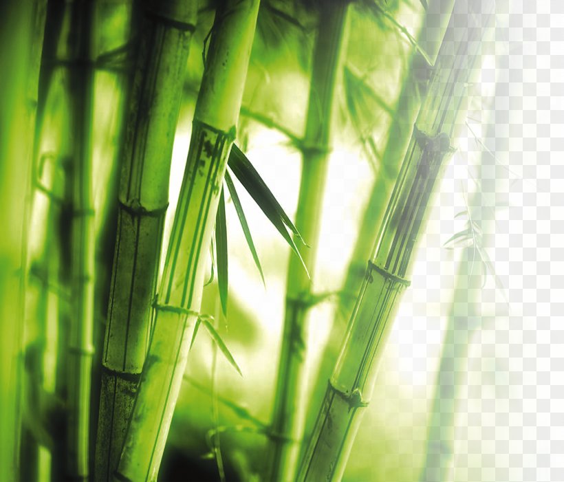 Bamboo Wall 1080p High-definition Television Wallpaper, PNG, 2692x2303px, 4k Resolution, Bamboo, Computer, Display Resolution, Grass Download Free
