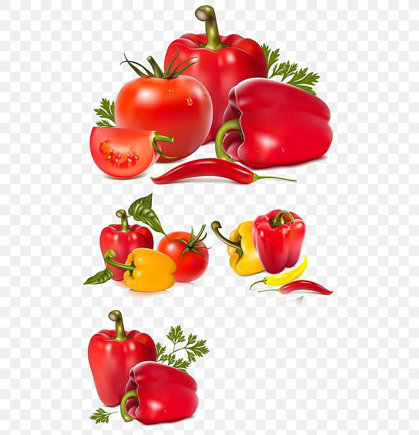 Bell Pepper Tomato Vegetable Chili Pepper, PNG, 500x850px, Bell Pepper, Apple, Beetroot, Bell Peppers And Chili Peppers, Bush Tomato Download Free