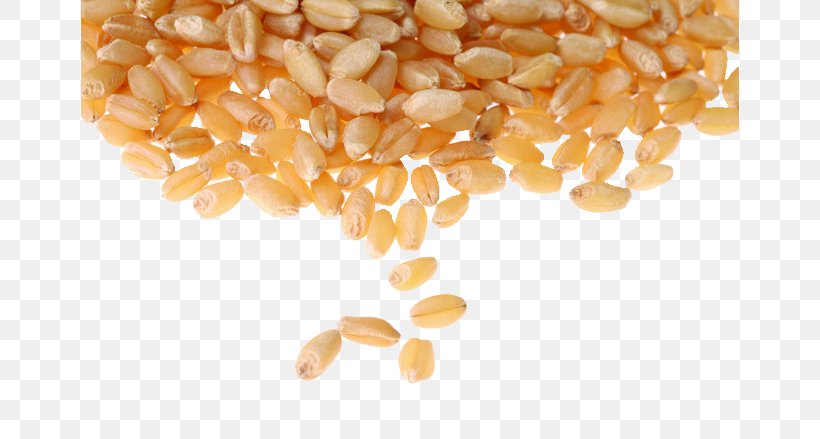 Common Wheat Cereal Whole Grain Wheat Berry Food Grain, PNG, 658x439px, Common Wheat, Cereal, Cereal Germ, Commodity, Corn Kernels Download Free