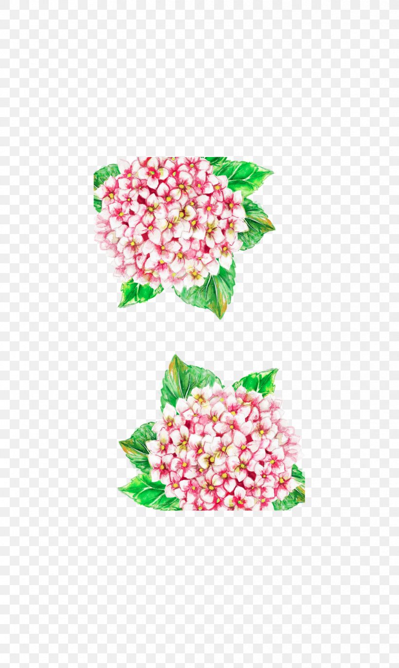Cut Flowers Floral Design Hydrangea Petal, PNG, 1039x1736px, Flower, Bird Of Paradise Flower, Blue, Color, Cut Flowers Download Free