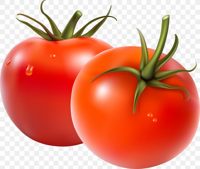 Fruit Salad Vegetable Tomato, PNG, 3505x2969px, Fruit Salad, Bell Pepper, Bush Tomato, Cucumber, Diet Food Download Free