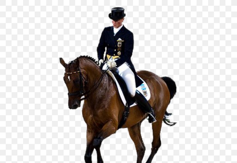 Horse Olympic Games 2008 Summer Olympics 2012 Summer Olympics Dressage, PNG, 450x566px, 2008 Summer Olympics, Horse, Animal Sports, Animal Training, Bridle Download Free
