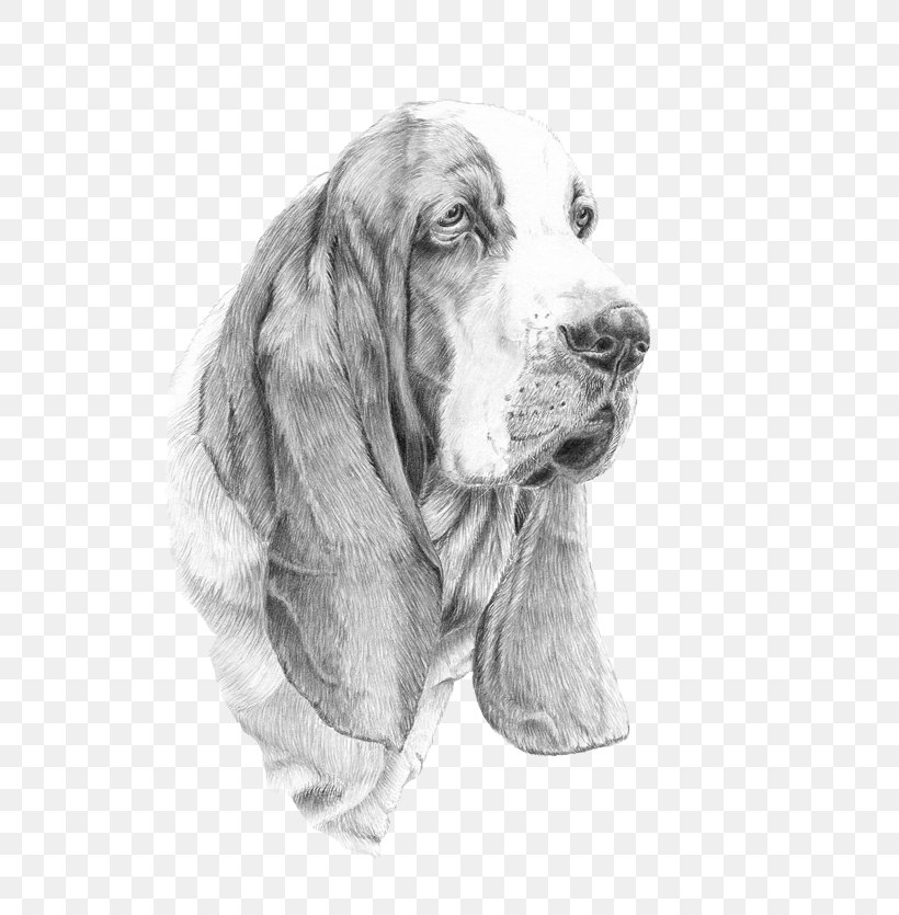 Sussex Spaniel Basset Hound Dog Breed IPhone 6, PNG, 600x835px, Sussex Spaniel, Artwork, Basset Hound, Black And White, Breed Download Free