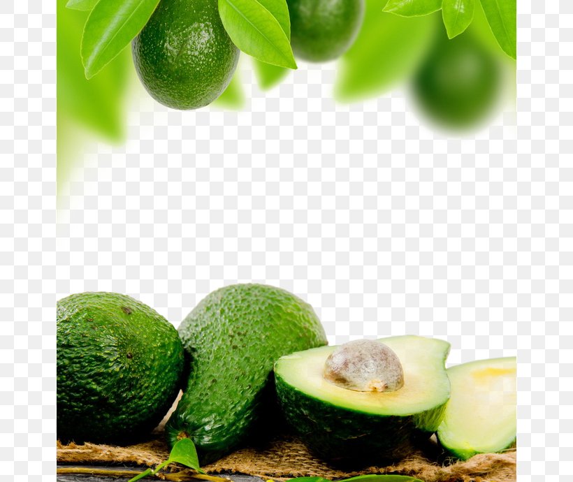 Avocado Oil Food Google Images, PNG, 658x690px, Avocado, Auglis, Avocado Oil, Citrus, Diet Food Download Free