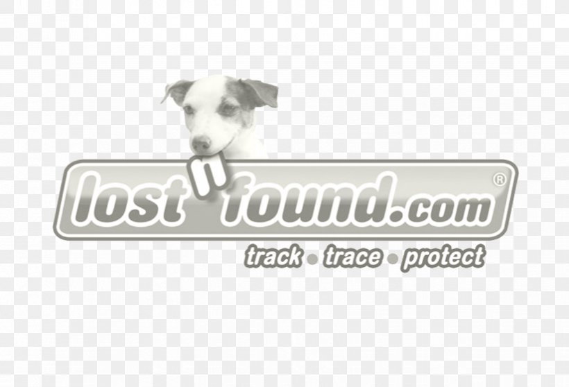 Dog Breed Italian Greyhound Logo Brand, PNG, 824x561px, Dog Breed, Brand, Breed, Carnivoran, Dog Download Free