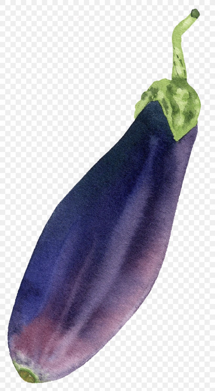 Eggplant Vegetable Purple Food Plant, PNG, 939x1709px, Eggplant, Chili Pepper, Food, Nightshade Family, Pasilla Download Free