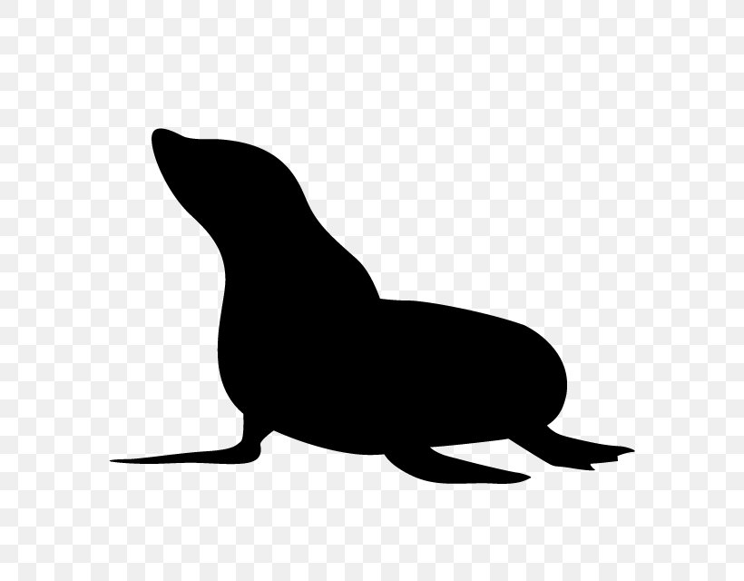 Sea Lion Earless Seal Silhouette Whiskers Clip Art, PNG, 640x640px, Sea Lion, Animal, Beak, Black, Black And White Download Free