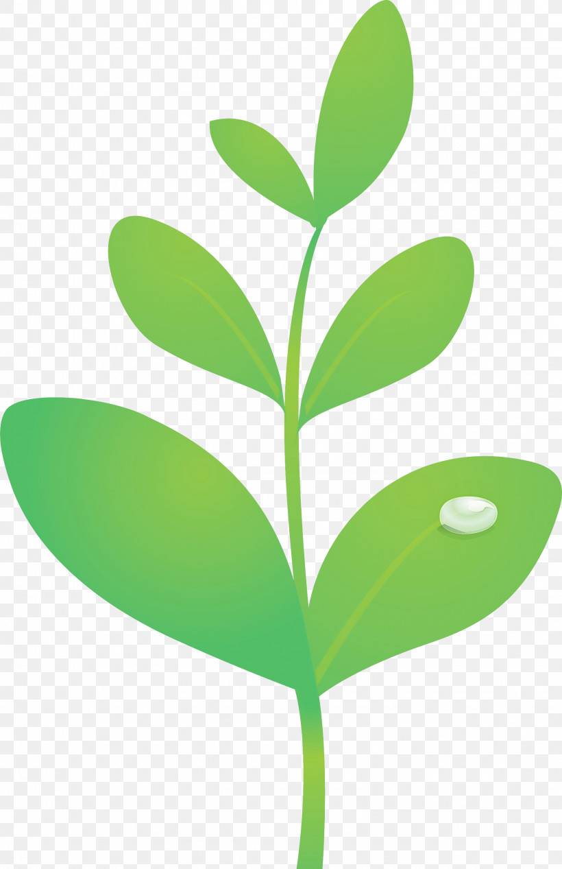 Sprout Bud Seed, PNG, 1941x3000px, Sprout, Bud, Flower, Flush, Green Download Free