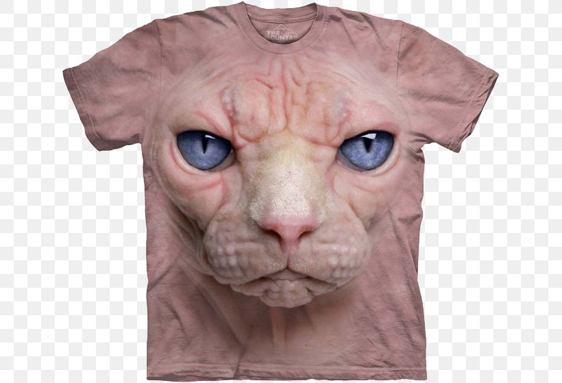 T-shirt Cat Kitten Hoodie, PNG, 640x559px, Tshirt, Animal, Bear, Carnivoran, Cat Download Free