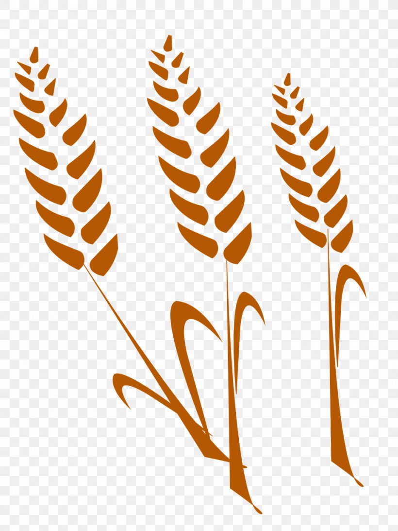 Wheat Cereal Agriculture Gratis Image, PNG, 960x1280px, Wheat, Agriculture, Branch, Cereal, Commodity Download Free