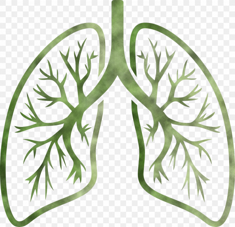 Lungs COVID Corona Virus Disease, PNG, 3000x2904px, Lungs, Branch, Corona Virus Disease, Covid, Green Download Free