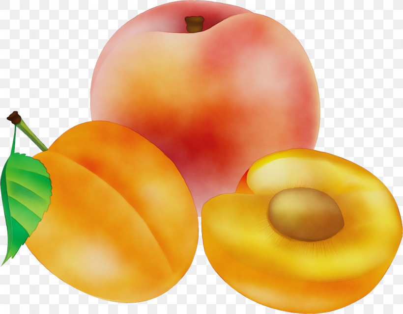 Natural Foods Superfood Apricot M Local Food Commodity, PNG, 1389x1085px, Watercolor, Apple, Apricot M, Commodity, Local Food Download Free