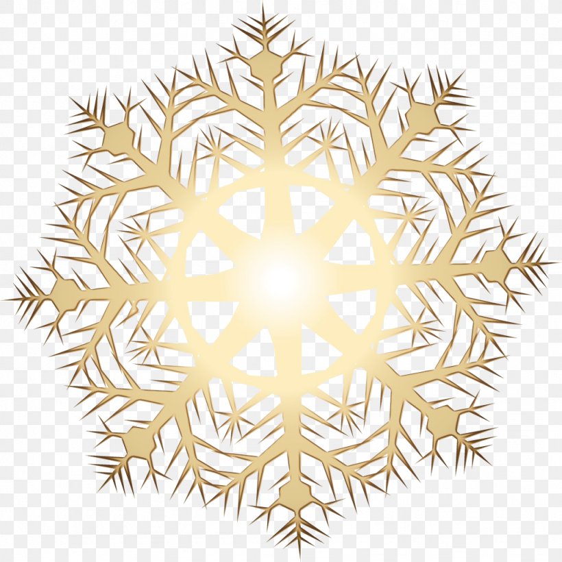 Snowflake, PNG, 1024x1024px, Watercolor, Ornament, Paint, Snowflake, Symmetry Download Free