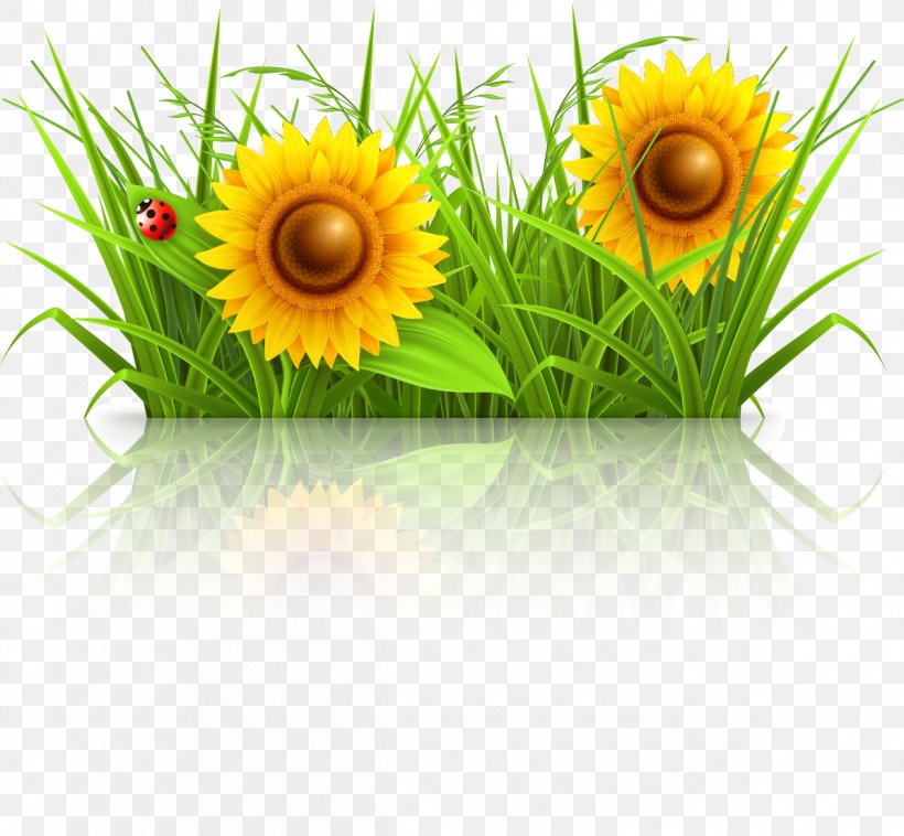 Drawing Illustration, PNG, 1195x1106px, Drawing, Can Stock Photo, Daisy Family, Floral Design, Flower Download Free
