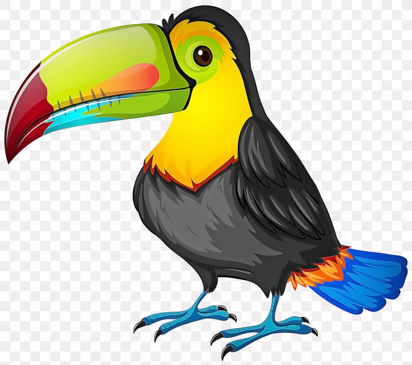 Hornbill Bird, PNG, 3000x2663px, Bird, Animal, Beak, Cartoon, Drawing Download Free