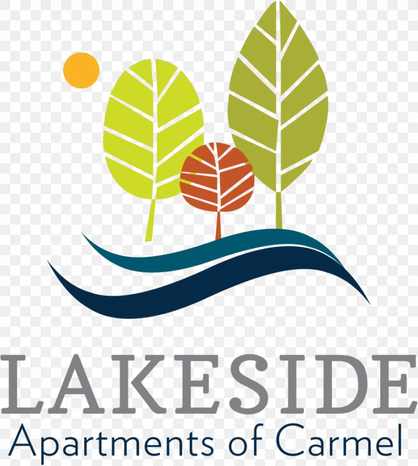 Lakeside Apartments Of Carmel Child Windsor Pediatric Dentistry, PNG, 919x1024px, Apartment, Adult, Apartment Ratings, Area, Artwork Download Free