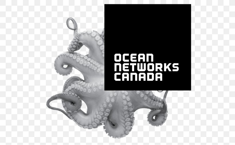 Ocean Networks Canada Earth University Of Victoria Pacific Ocean Salish Sea, PNG, 542x508px, Ocean Networks Canada, Brand, Canada, Cephalopod, Earth Download Free