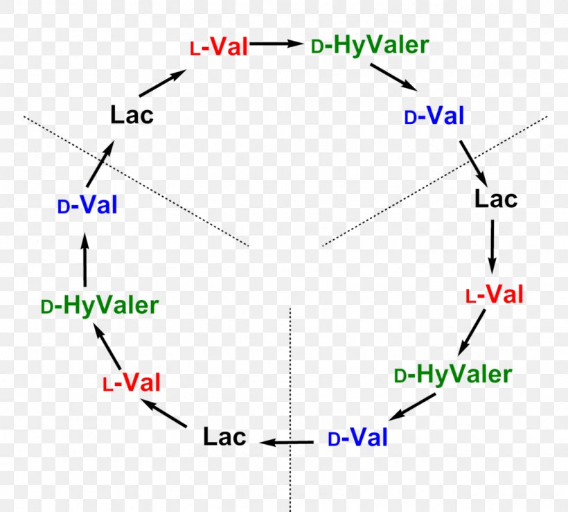 Valinomycin Gramicidin S Diagram Product, PNG, 1136x1024px, Watercolor, Cartoon, Flower, Frame, Heart Download Free