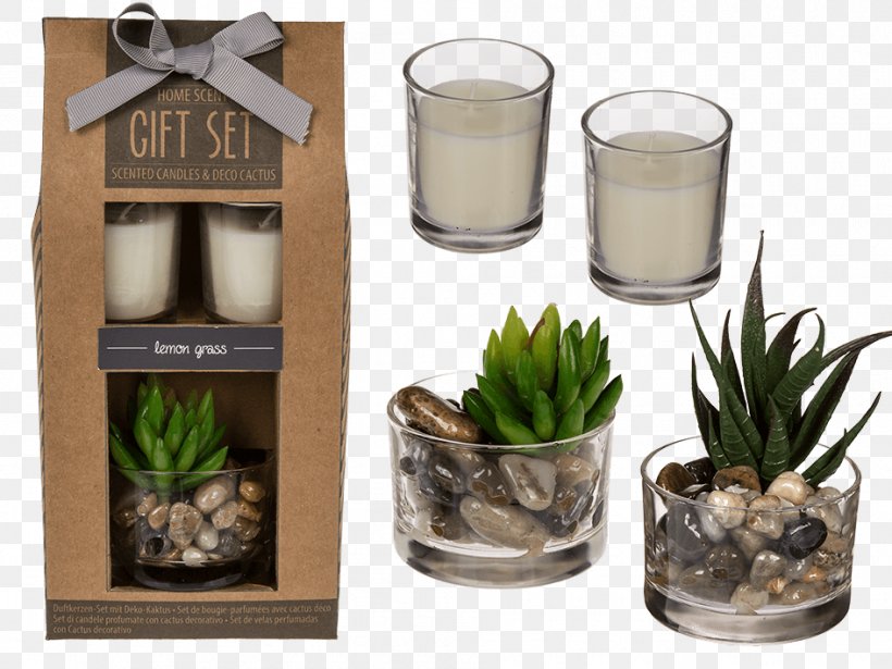 Candle Gift Party Vanilla Birthday, PNG, 945x709px, Candle, Birthday, Cactaceae, Candlestick, Cymbopogon Citratus Download Free