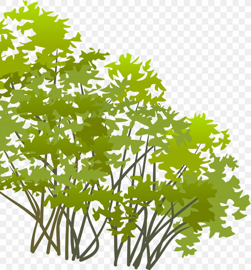 Clip Art Branch Shrub Tree, PNG, 3274x3517px, Branch, Autumn, Cloud, Flora, Flower Download Free